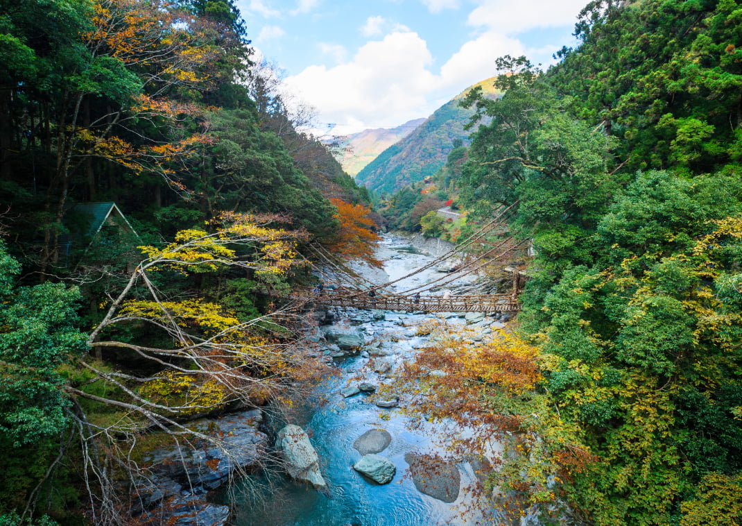  Kazurabashi, vieux pont en bois dans la forêt de Tokushima
