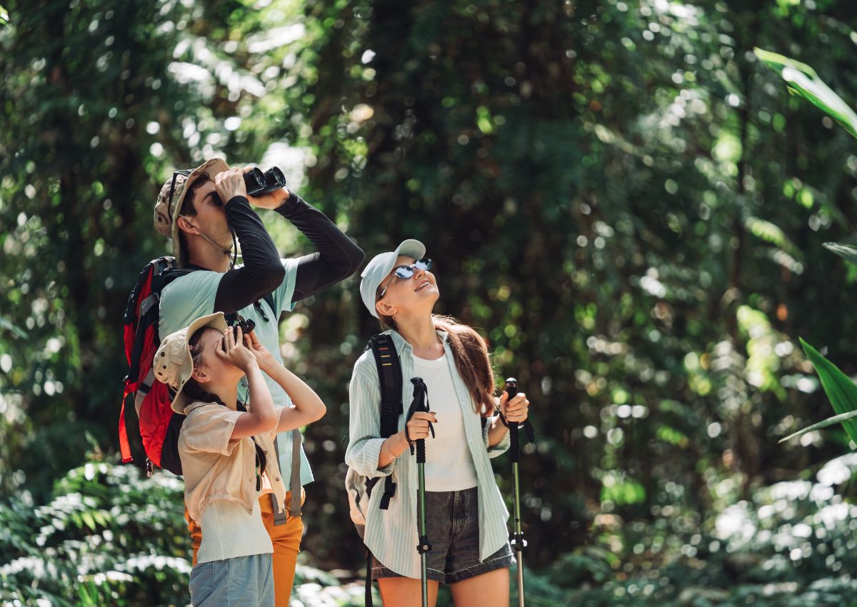 Famille en randonnée observant les oiseaux