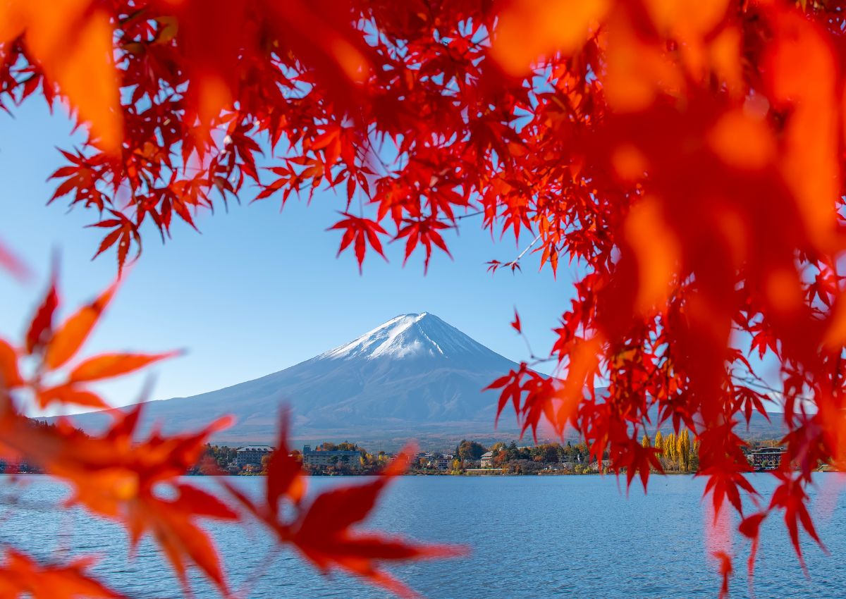 Mont Fuji encadré par des érables rouges en automne, Japon