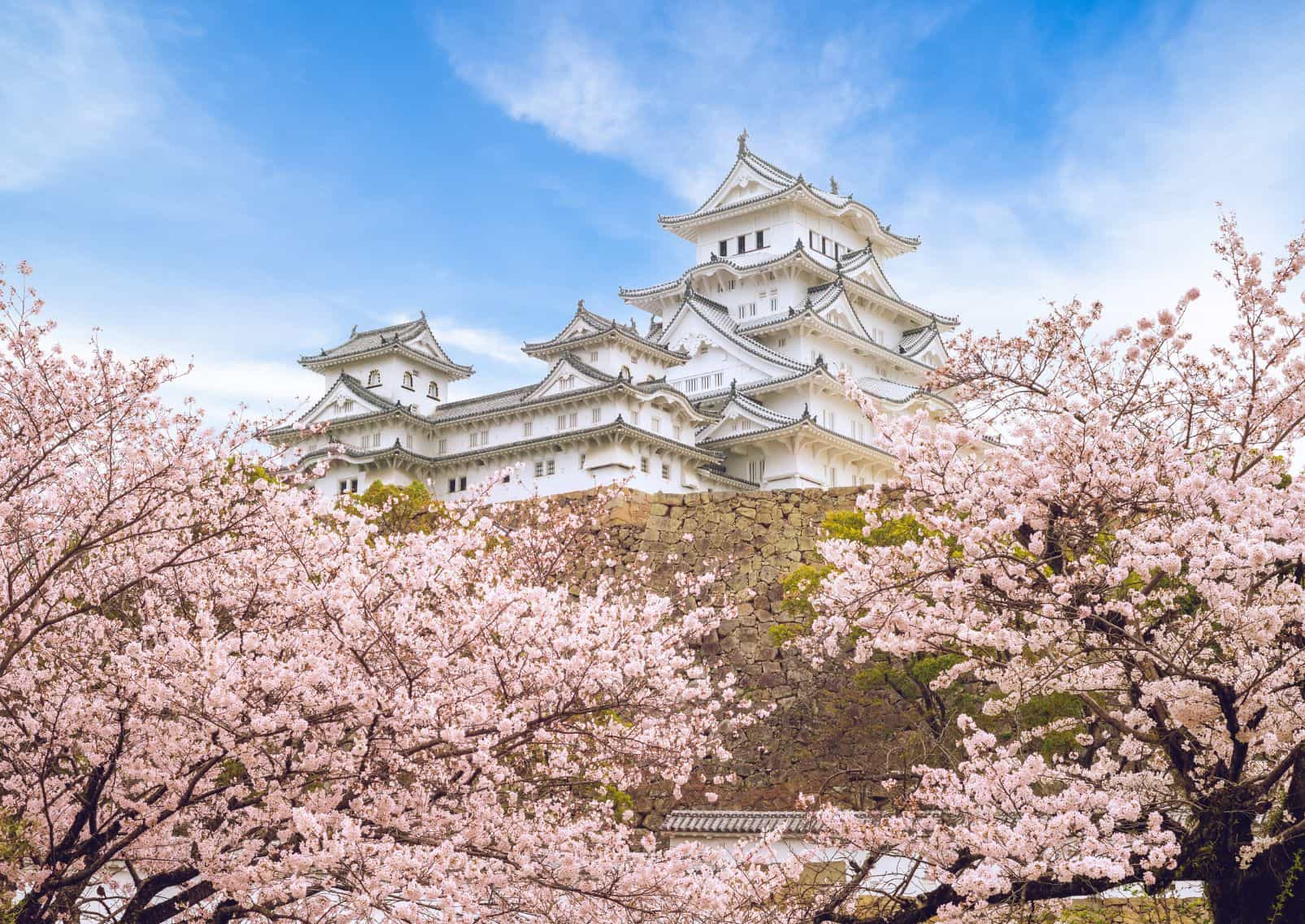 Le-château-d-Himeji-au-printemps