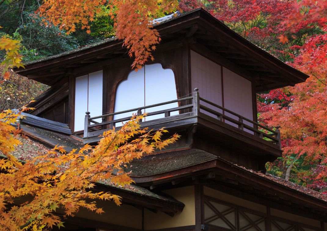 Feuillages d’automne dans le jardin Sankeien, Yokohama
