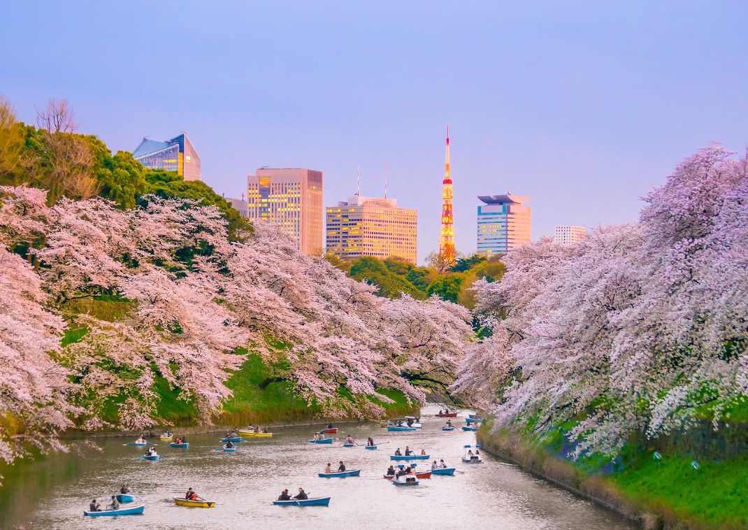 Le parc d’Ueno au printemps, Tokyo, Japon