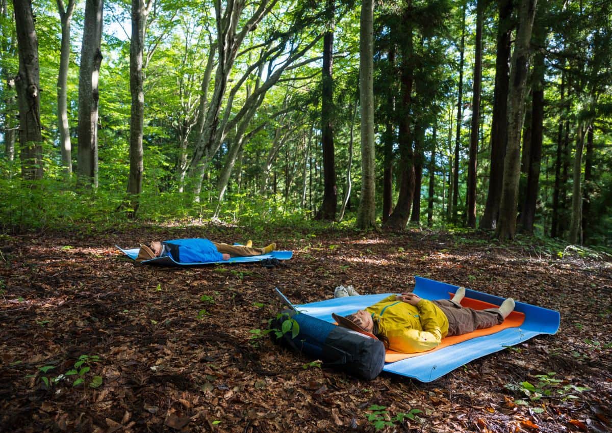 Deux hommes allongés sur le sol pendant une expérience de shinrin yoku au Japon
