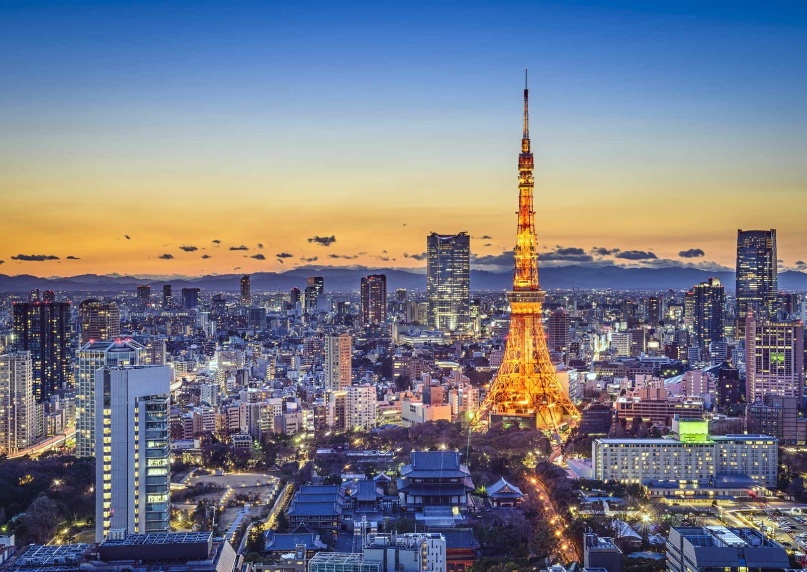 La-skyline-de-Tokyo-au-coucher-du-soleil