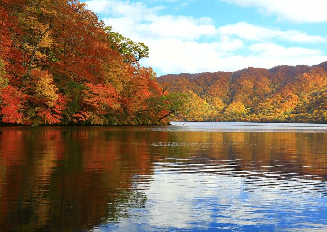 Paysage d’automne avec des arbres colorés au bord d’un lac calme.