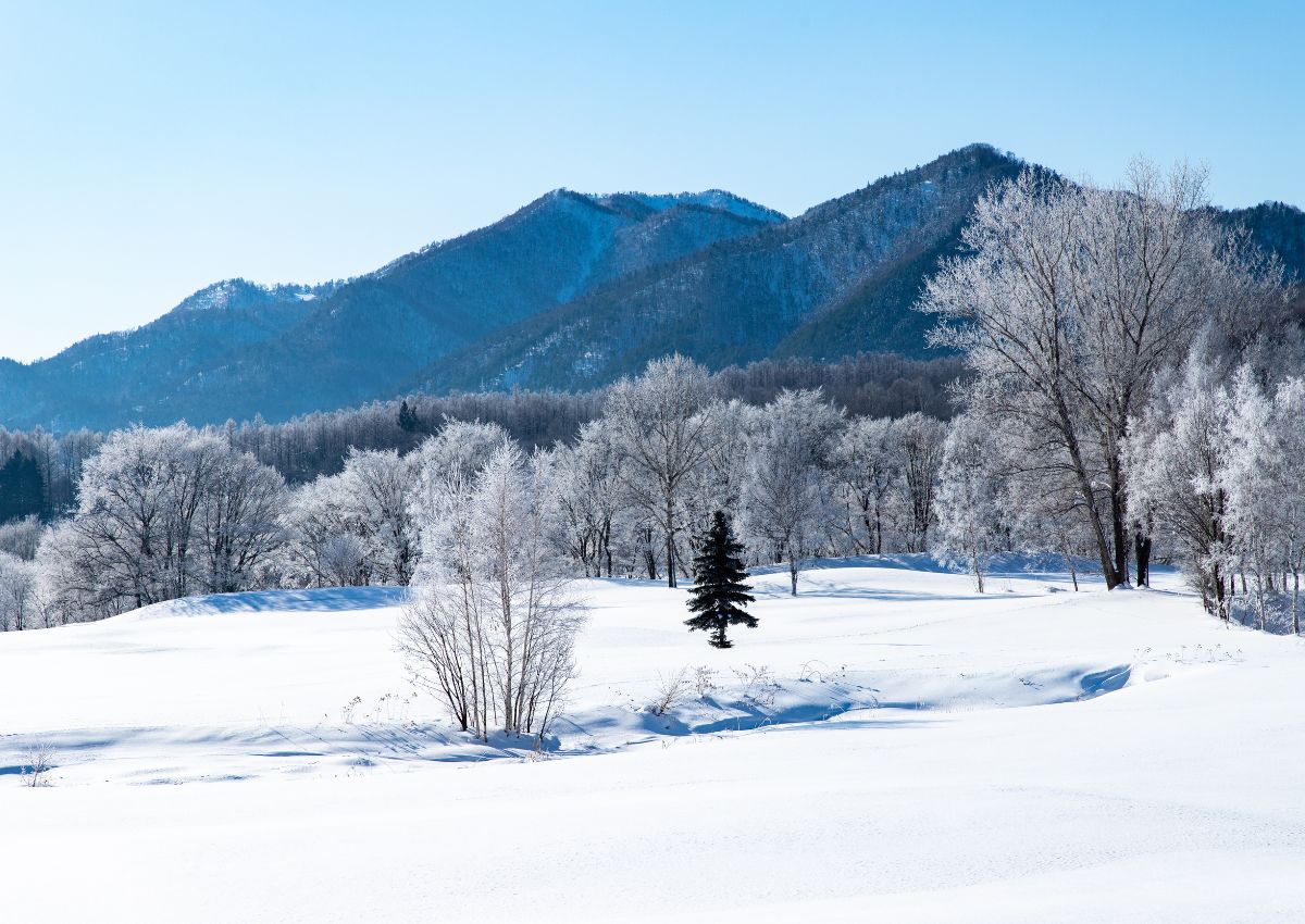 Hokkaido sous la neige, Japon