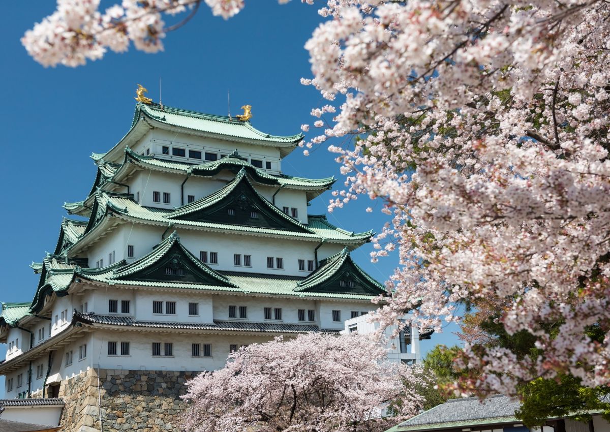 Le château de Nagoya pendant la floraison des cerisiers, Japon