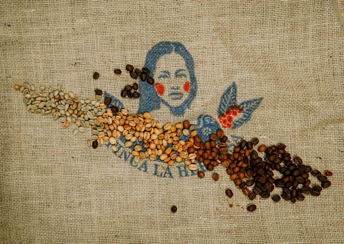 Logo Coffee Roasters entouré de grains de café, Japon
