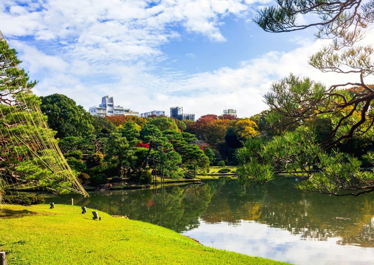Etang paisible dans le jardin Rikugien à Tokyo