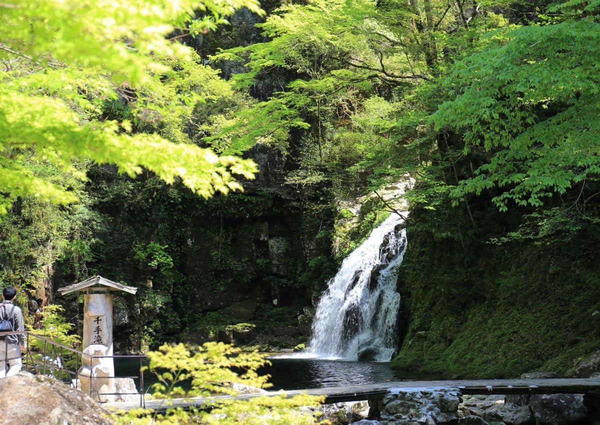 Cascade, vallée d'Akame, Japon
