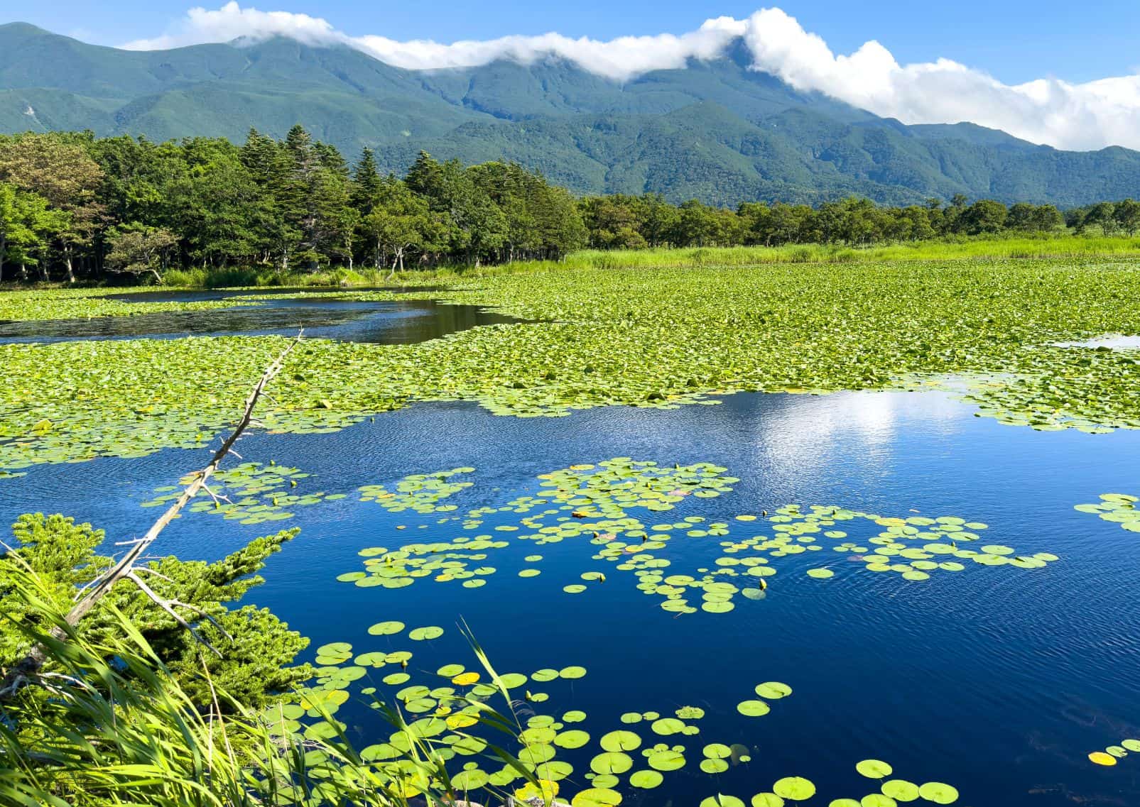 Lac du parc national de Shiretoko en été, avec végétation, ciel bleu et montagnes au loin