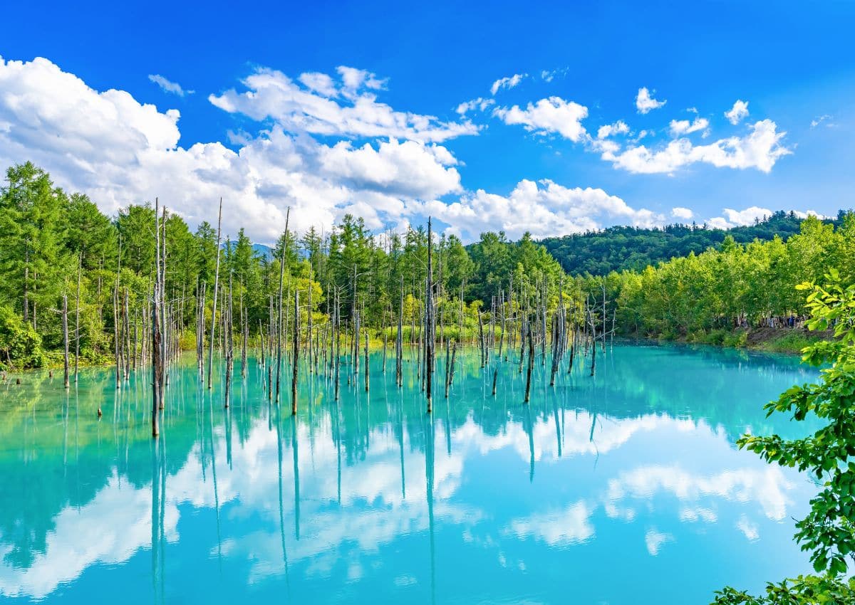 Lac à Shirokane, Biei-cho, Hokkaido
