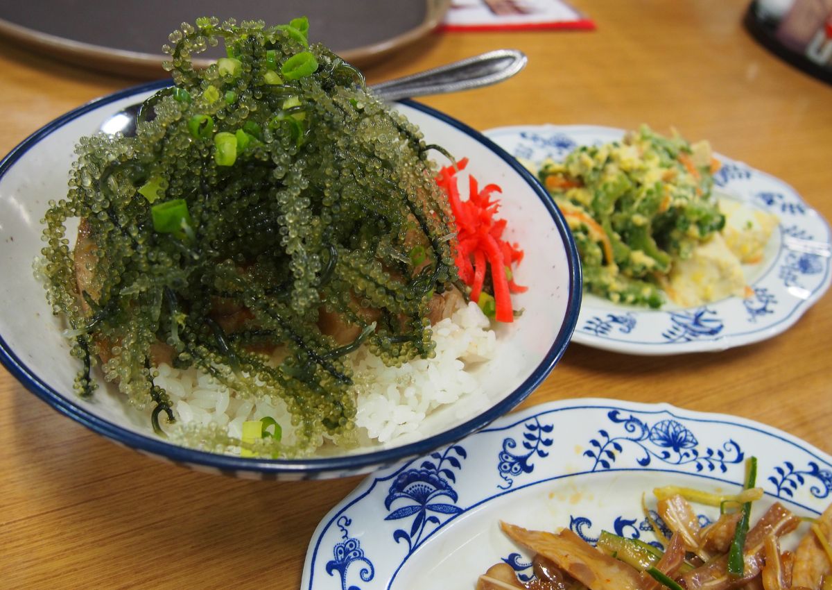 Raisins de mer ou umibudo d’Okinawa