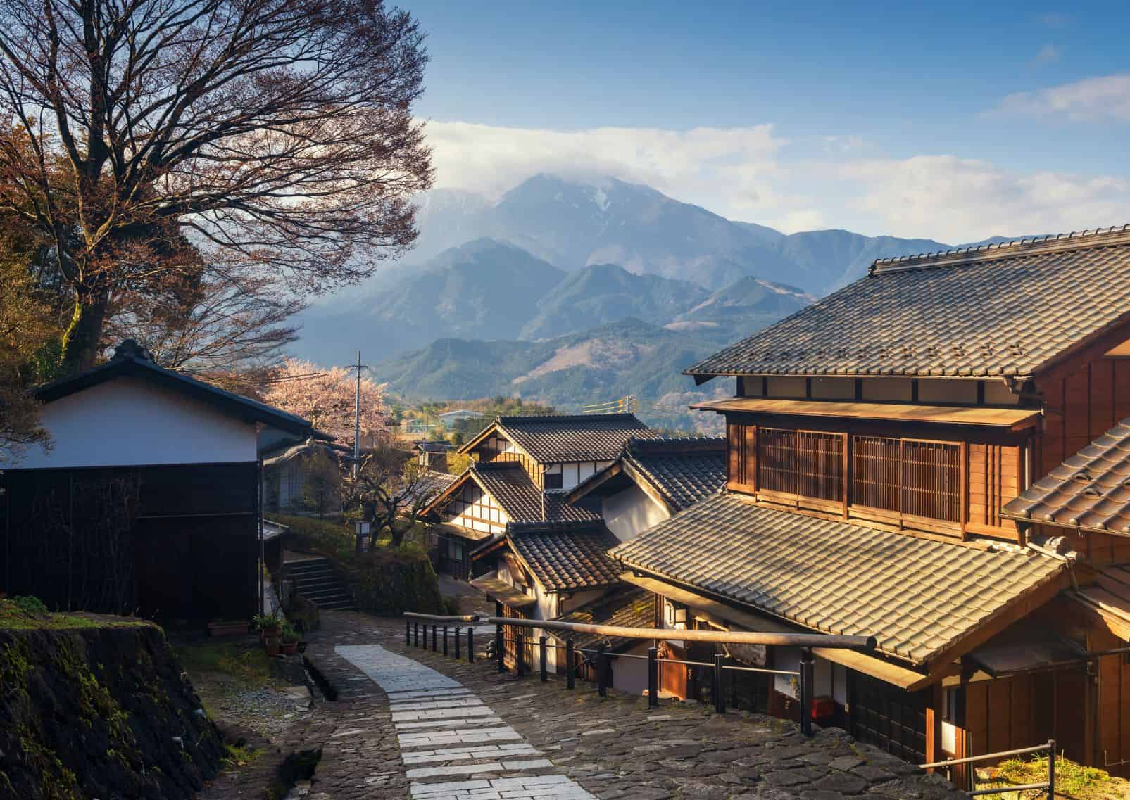  Alpes japonaises et cerisiers en fleurs
