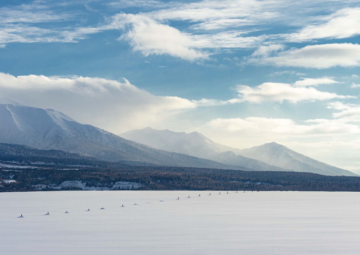 Paysage hivernal à Biei, Hokkaido, Japon