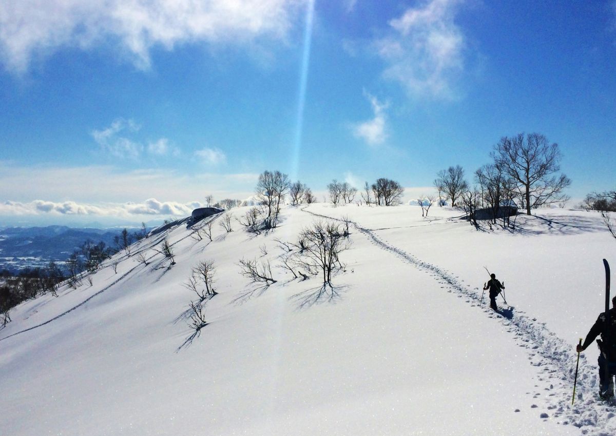 Freeriders en haute montagne à Niseko, Hokkaido, Japon