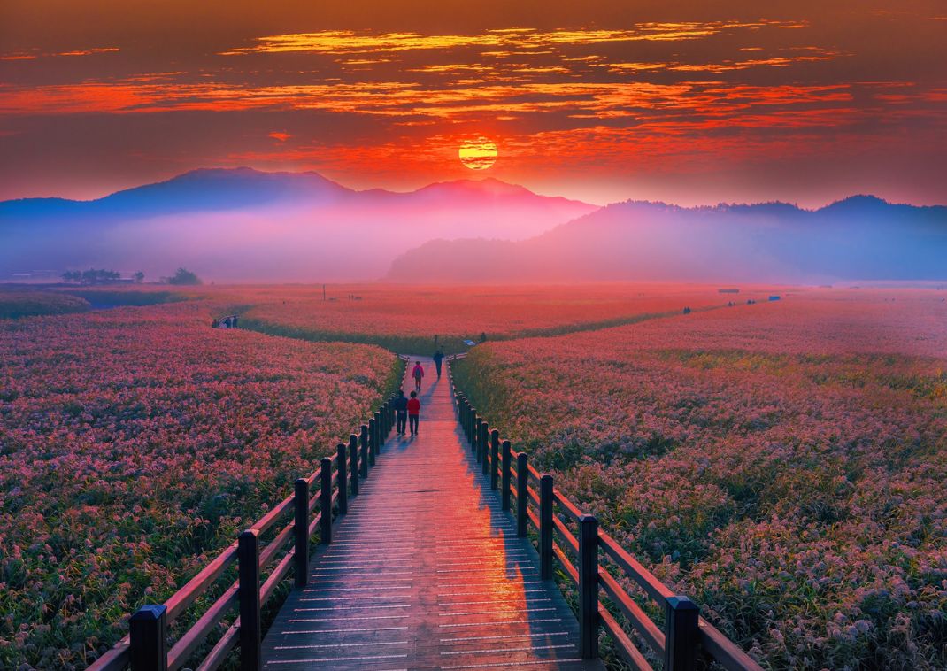 Lever du soleil sur la baie de Suncheon, Corée du Sud