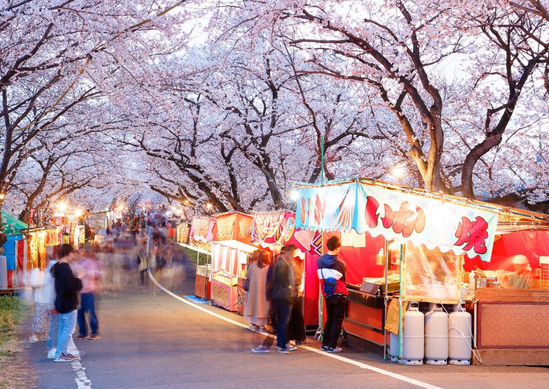 Festival Sakura Matsuri, à Gifu, Japan