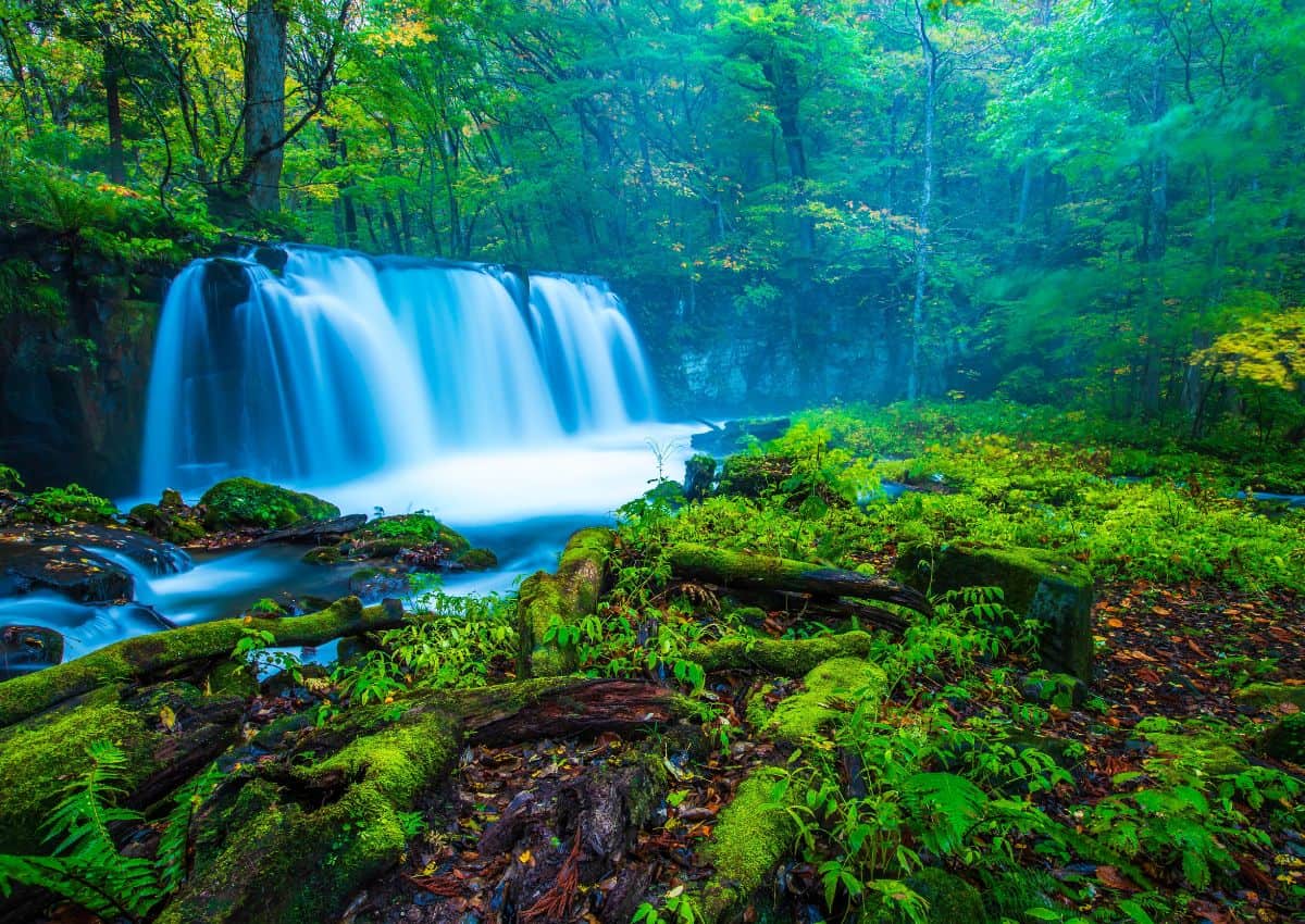 Cascade dans les gorges d'Oirase, Aomori, Japon