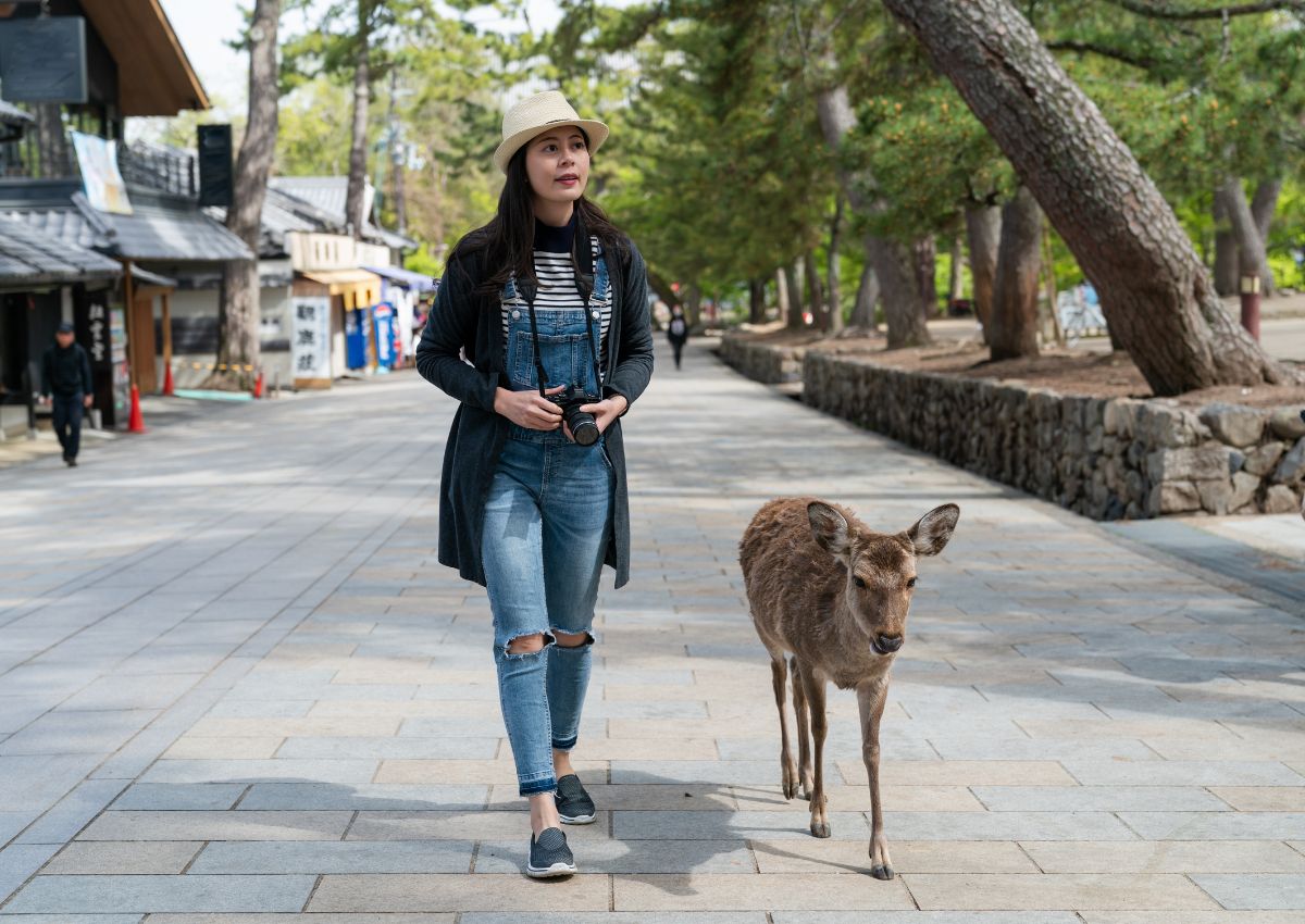 Toursite et cerf sika dans une rue commerçante près du temple Todai-ji, Nara, Japon