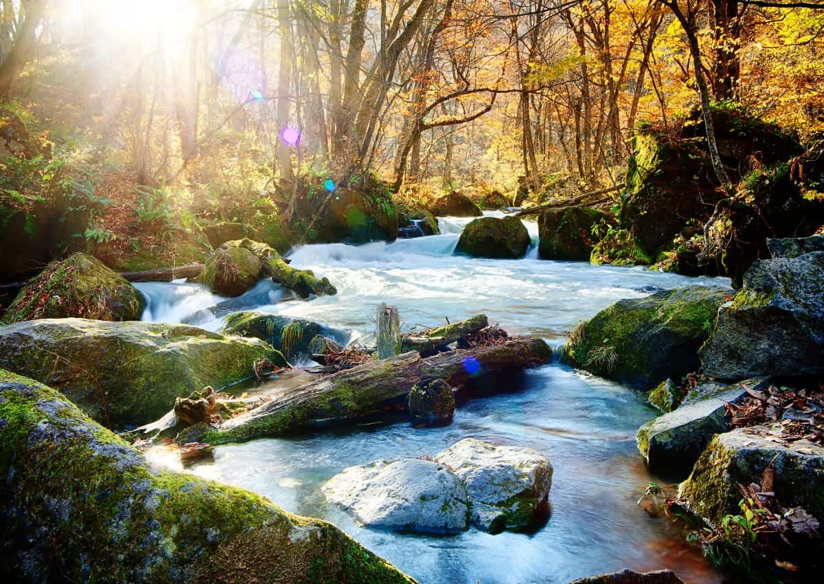 Les gorges d'Oirase en automne, Aomori, Japon
