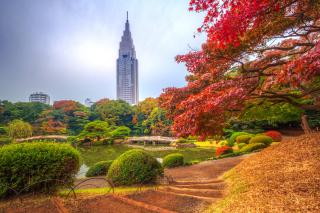 Parc Shinjuku Gyoen, Tokyo 