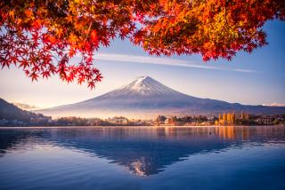 Momiji au Japon 