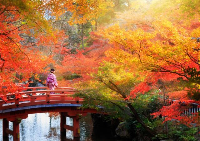 Comment choisir la période idéale pour venir au Japon ! 
