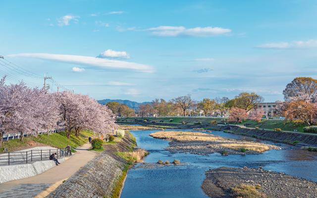 Bord de la rivière Kamogawa