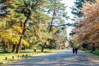 Jardin national de Kyoto Gyoen