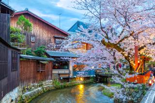 Paysage de la rivière Shirakawa 