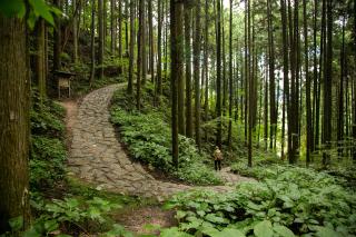 Nakasendo Trail