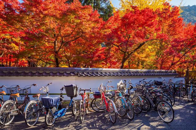 Vélos Kyoto