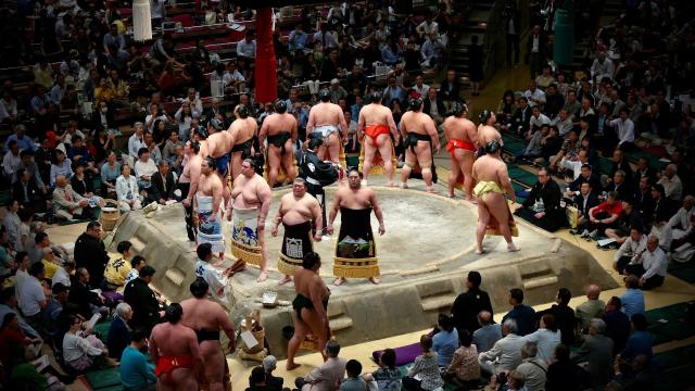 Combattants de Sumo