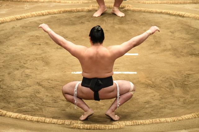 Combattant Sumo