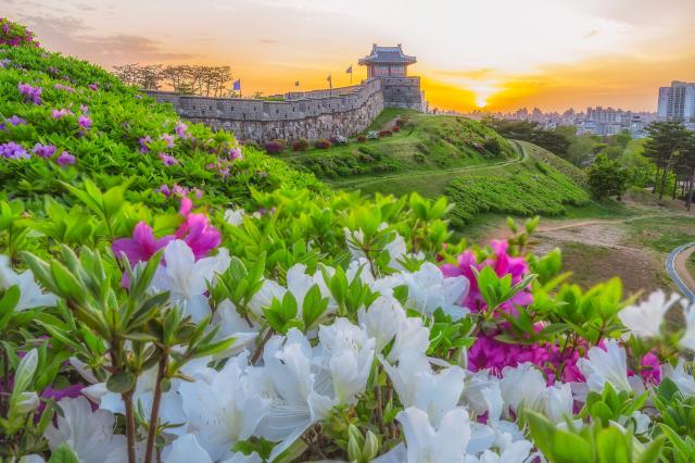 Forteresse de Hwaseong