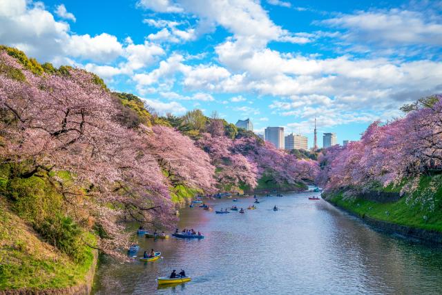 Chidorigafuchi, Tokyo