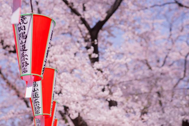 Lanternes sakura, Parc Ueno, Tokyo