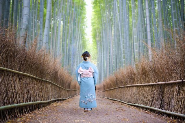 Forêt de bambous d'Arashiyama, Kyoto