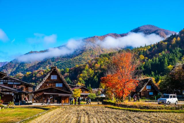 Le village de Shirakawago 