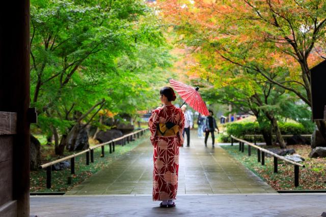 Femme japonaise en kimono rouge tenant un parapluie, marchant tranquillement dans un parc public avec des feuilles d'automne au Japon.