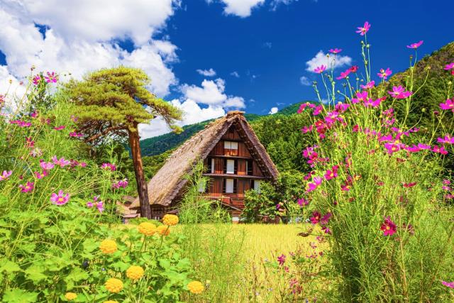 Les fermes traditionnelles de Shirakawago en été 