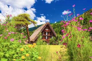 Les fermes traditionnelles de Shirakawago en été 