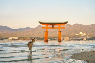 Le torii flottant de l'île de Miyajima