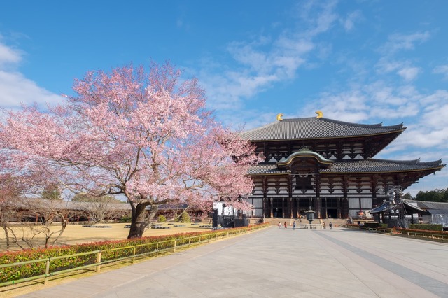 Le temple Todaiji de Nara