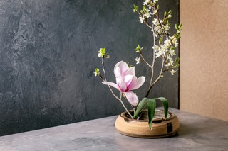 Arrangement d’ikenaba