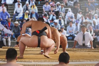 Entrainment de sumo 