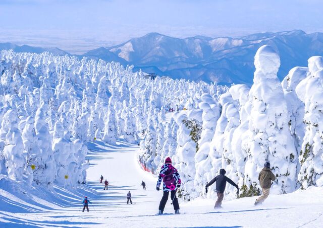  Skieurs au Japon