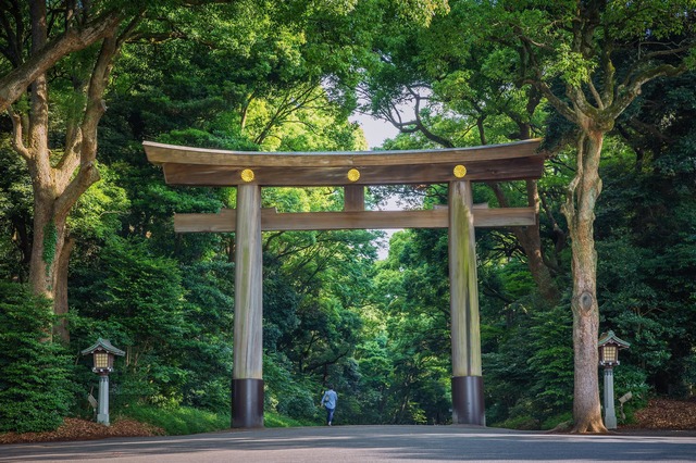 Sanctuaire Meiji, Tokyo