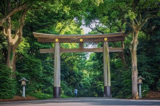 Sanctuaire Meiji, Tokyo